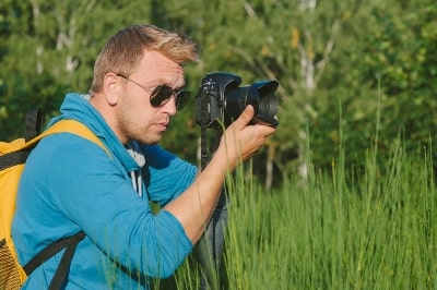 Which Camera is Good for Wildlife Photography